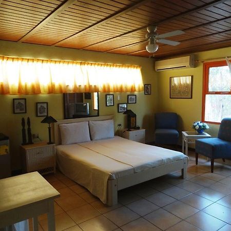 Guesthouse Little David - Adults Only Oranjestad Exterior photo