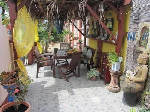 Guesthouse Little David - Adults Only Oranjestad Exterior photo