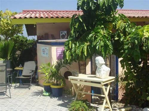 Guesthouse Little David - Adults Only Oranjestad Exterior photo