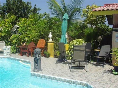 Guesthouse Little David - Adults Only Oranjestad Exterior photo