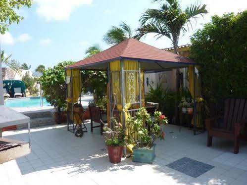 Guesthouse Little David - Adults Only Oranjestad Exterior photo