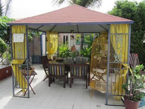 Guesthouse Little David - Adults Only Oranjestad Exterior photo